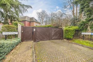 Photo 13- click for photo gallery